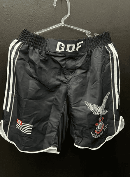 shorts_gavioes_01